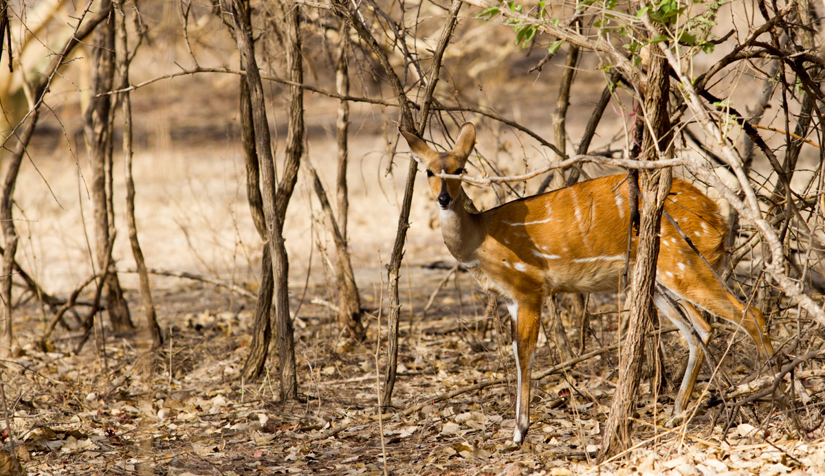 20160402-IMG_3964