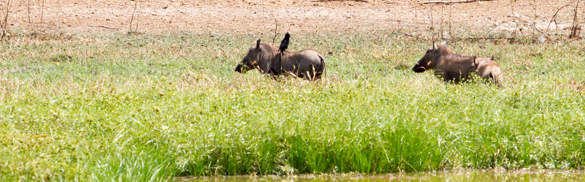 20160402-IMG_3968