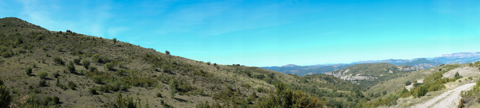 DSCF2865