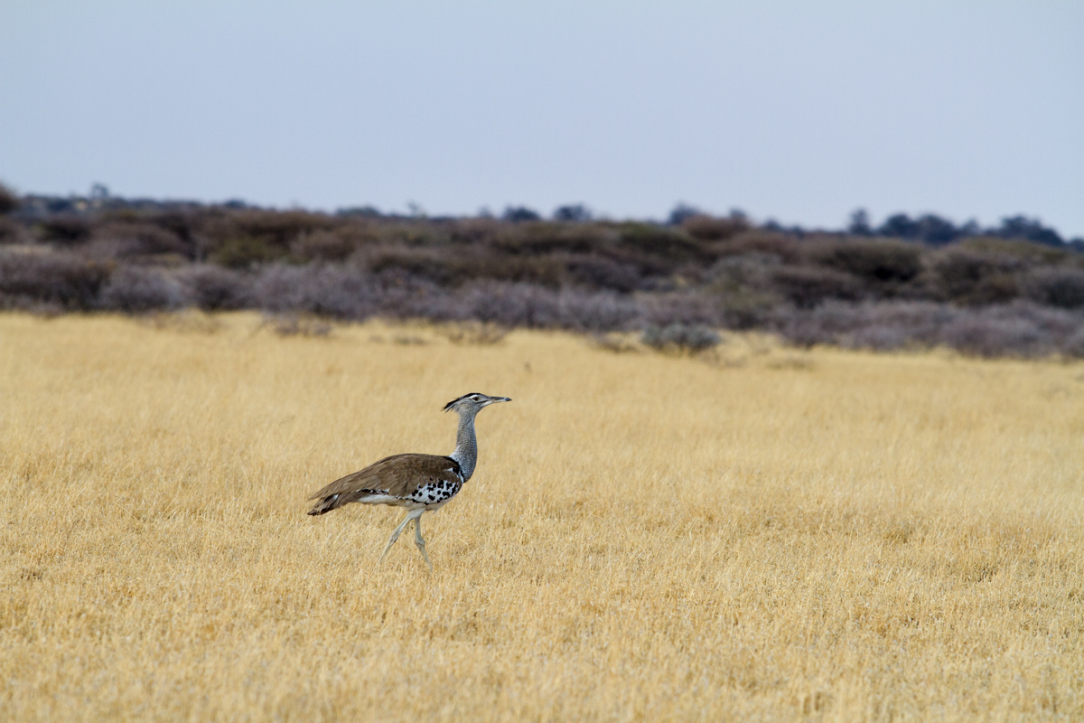 20161017-img_5278